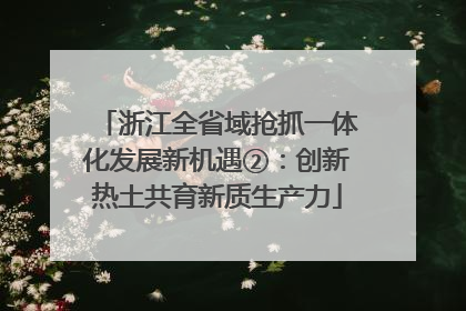 浙江全省域抢抓一体化发展新机遇②：创新热土共育新质生产力