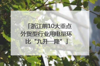 浙江前10大重点外贸型行业用电量环比“九升一降”