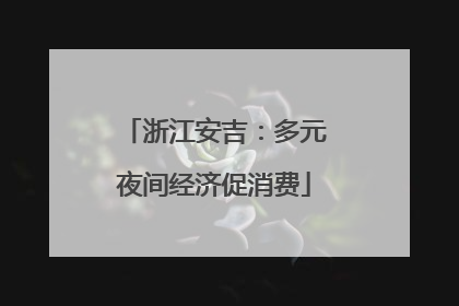 浙江安吉：多元夜间经济促消费