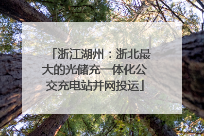 浙江湖州：浙北最大的光储充一体化公交充电站并网投运