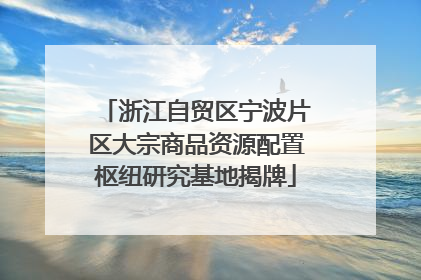 浙江自贸区宁波片区大宗商品资源配置枢纽研究基地揭牌