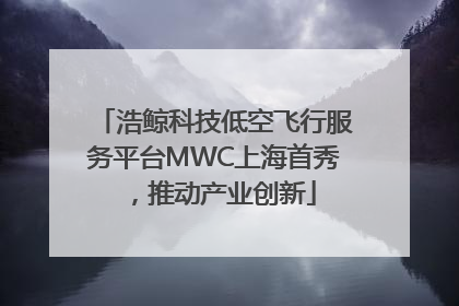 浩鲸科技低空飞行服务平台MWC上海首秀，推动产业创新