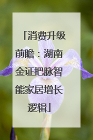 消费升级前瞻：湖南金证把脉智能家居增长逻辑