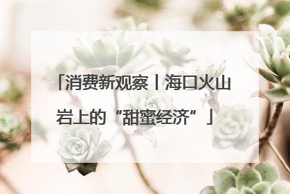 消费新观察丨海口火山岩上的“甜蜜经济”