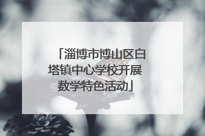 淄博市博山区白塔镇中心学校开展数学特色活动