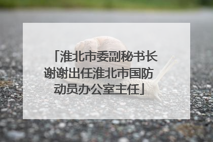 淮北市委副秘书长谢谢出任淮北市国防动员办公室主任