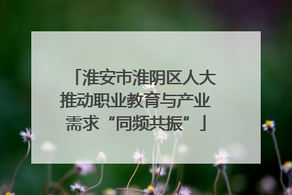 淮安市淮阴区人大推动职业教育与产业需求“同频共振”