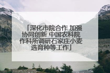 深化市院合作 加强协同创新 中国农科院作科所调研石家庄小麦选育种等工作