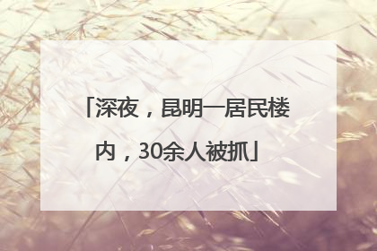 深夜，昆明一居民楼内，30余人被抓