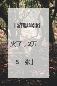 游艇驾照火了，2万5一张