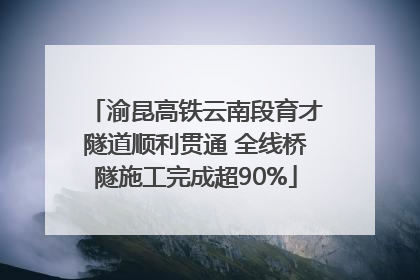 渝昆高铁云南段育才隧道顺利贯通 全线桥隧施工完成超90%
