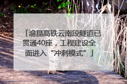 渝昆高铁云南段隧道已贯通40座，工程建设全面进入“冲刺模式”