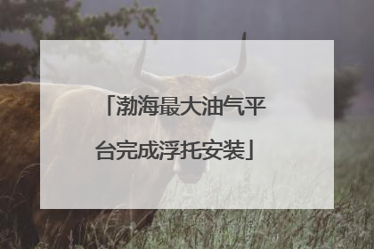 渤海最大油气平台完成浮托安装