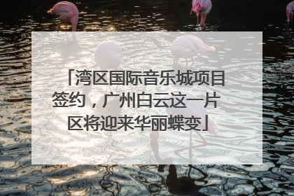 湾区国际音乐城项目签约，广州白云这一片区将迎来华丽蝶变