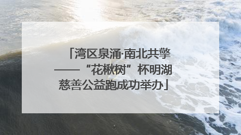 湾区泉涌·南北共擎——“花楸树”杯明湖慈善公益跑成功举办