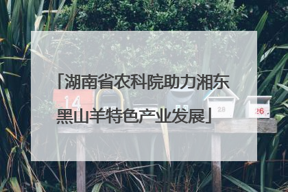 湖南省农科院助力湘东黑山羊特色产业发展
