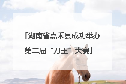 湖南省嘉禾县成功举办第二届“刀王”大赛