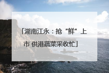 湖南江永：抢“鲜”上市 供港蔬菜采收忙