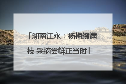湖南江永：杨梅缀满枝 采摘尝鲜正当时