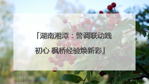 湖南湘潭：警调联动践初心 枫桥经验焕新彩