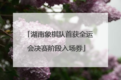 湖南象棋队首获全运会决赛阶段入场券
