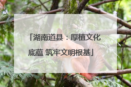 湖南道县：厚植文化底蕴 筑牢文明根基