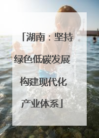 湖南：坚持绿色低碳发展 构建现代化产业体系