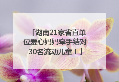 湖南21家省直单位爱心妈妈牵手结对30名流动儿童！