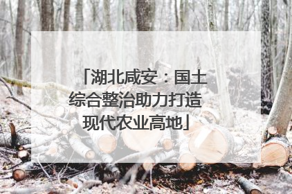 湖北咸安：国土综合整治助力打造现代农业高地