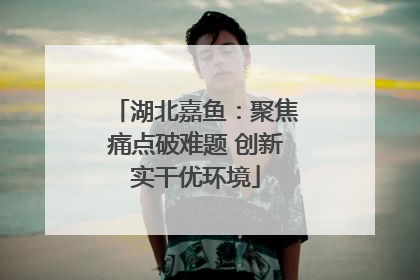 湖北嘉鱼：聚焦痛点破难题 创新实干优环境