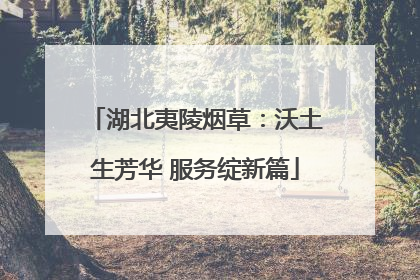 湖北夷陵烟草：沃土生芳华 服务绽新篇