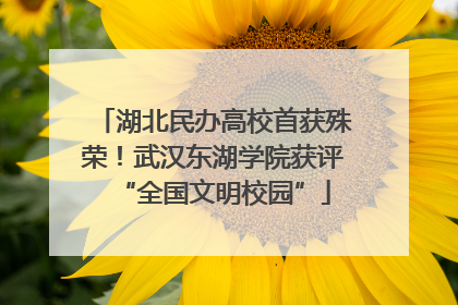 湖北民办高校首获殊荣！武汉东湖学院获评“全国文明校园”