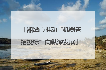 湘潭市推动“机器管招投标”向纵深发展