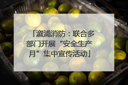 溆浦消防：联合多部门开展“安全生产月”集中宣传活动