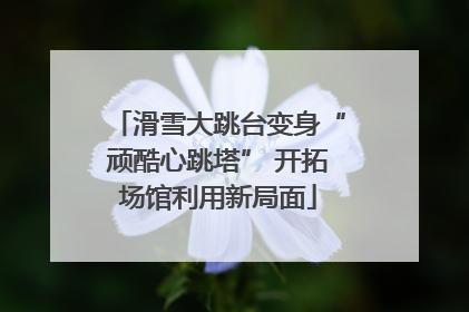 滑雪大跳台变身“顽酷心跳塔” 开拓场馆利用新局面