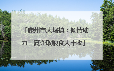 滕州市大坞镇：倾情助力三夏夺取粮食大丰收