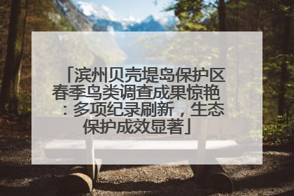 滨州贝壳堤岛保护区春季鸟类调查成果惊艳：多项纪录刷新，生态保护成效显著