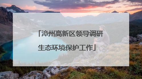 漳州高新区领导调研生态环境保护工作