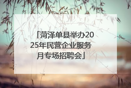 菏泽单县举办2025年民营企业服务月专场招聘会