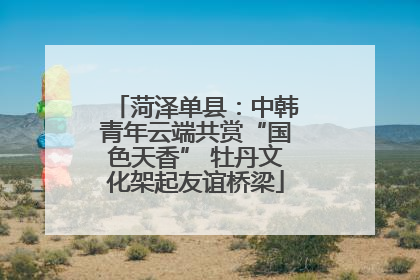 菏泽单县：中韩青年云端共赏“国色天香” 牡丹文化架起友谊桥梁