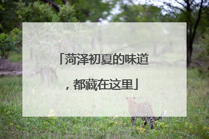 菏泽初夏的味道，都藏在这里