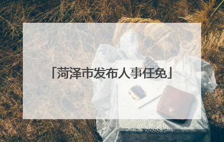 菏泽市发布人事任免