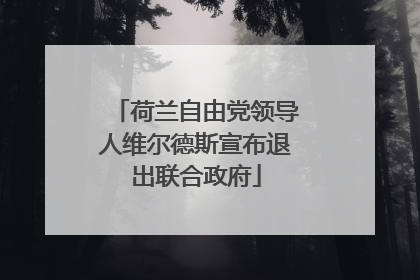 荷兰自由党领导人维尔德斯宣布退出联合政府