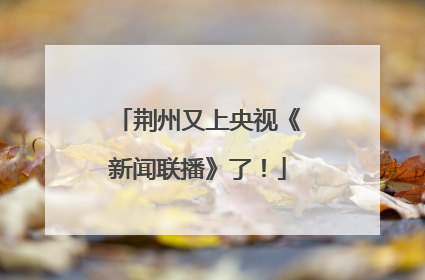 荆州又上央视《新闻联播》了！