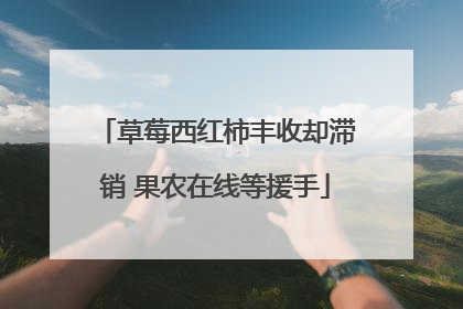 草莓西红柿丰收却滞销 果农在线等援手