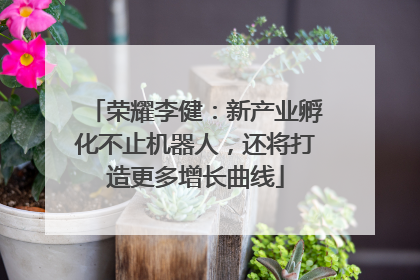 荣耀李健：新产业孵化不止机器人，还将打造更多增长曲线