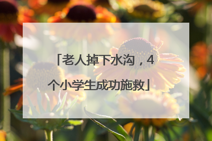 老人掉下水沟，4个小学生成功施救