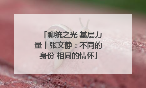 聊统之光 基层力量丨张文静：不同的身份 相同的情怀