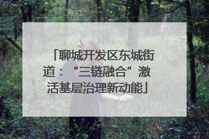 聊城开发区东城街道：“三链融合”激活基层治理新动能