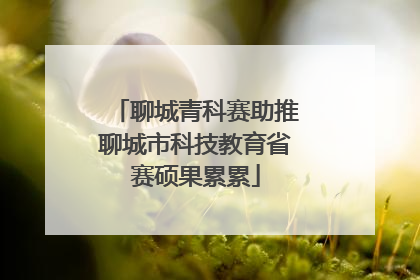 聊城青科赛助推聊城市科技教育省赛硕果累累
